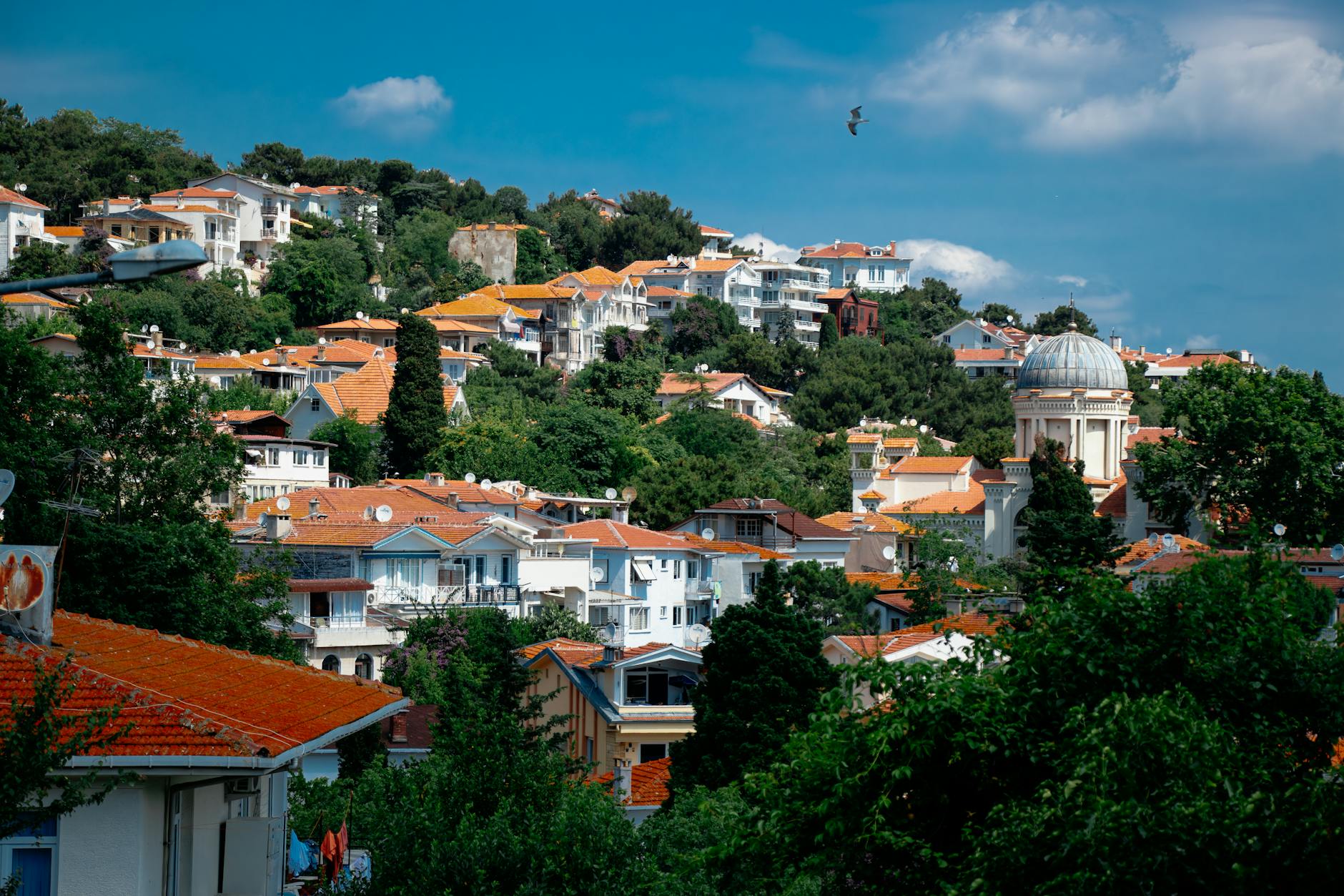 Vue ensoleillée d'une colline résidentielle densément boisée sur l'île de Burgazada, avec des maisons aux toits de tuiles orange et un bâtiment remarquable avec un dôme bleu-gris au centre, sous un ciel bleu clair.