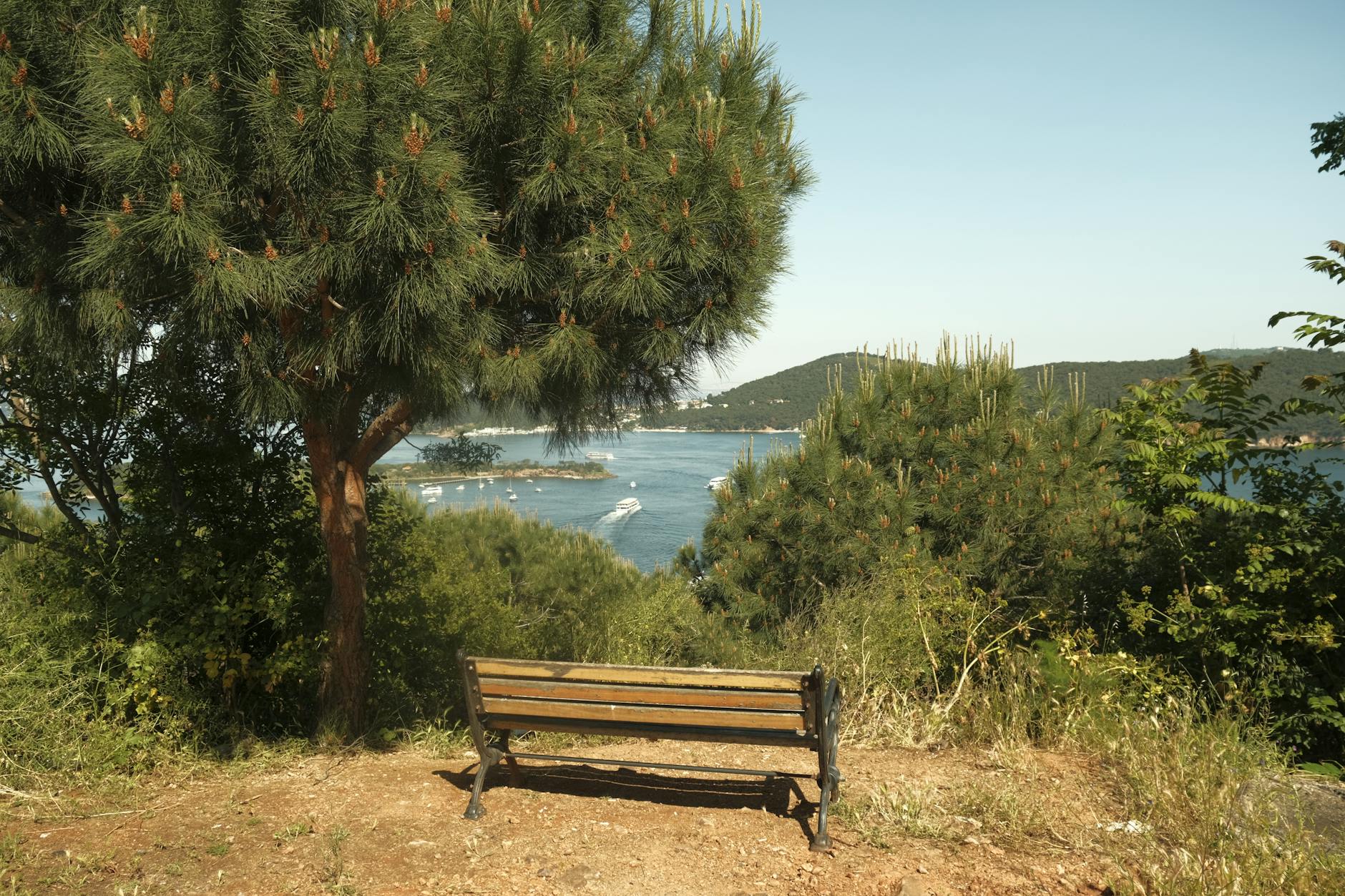 Burgazada : Guide Littéraire et Serein (2026)