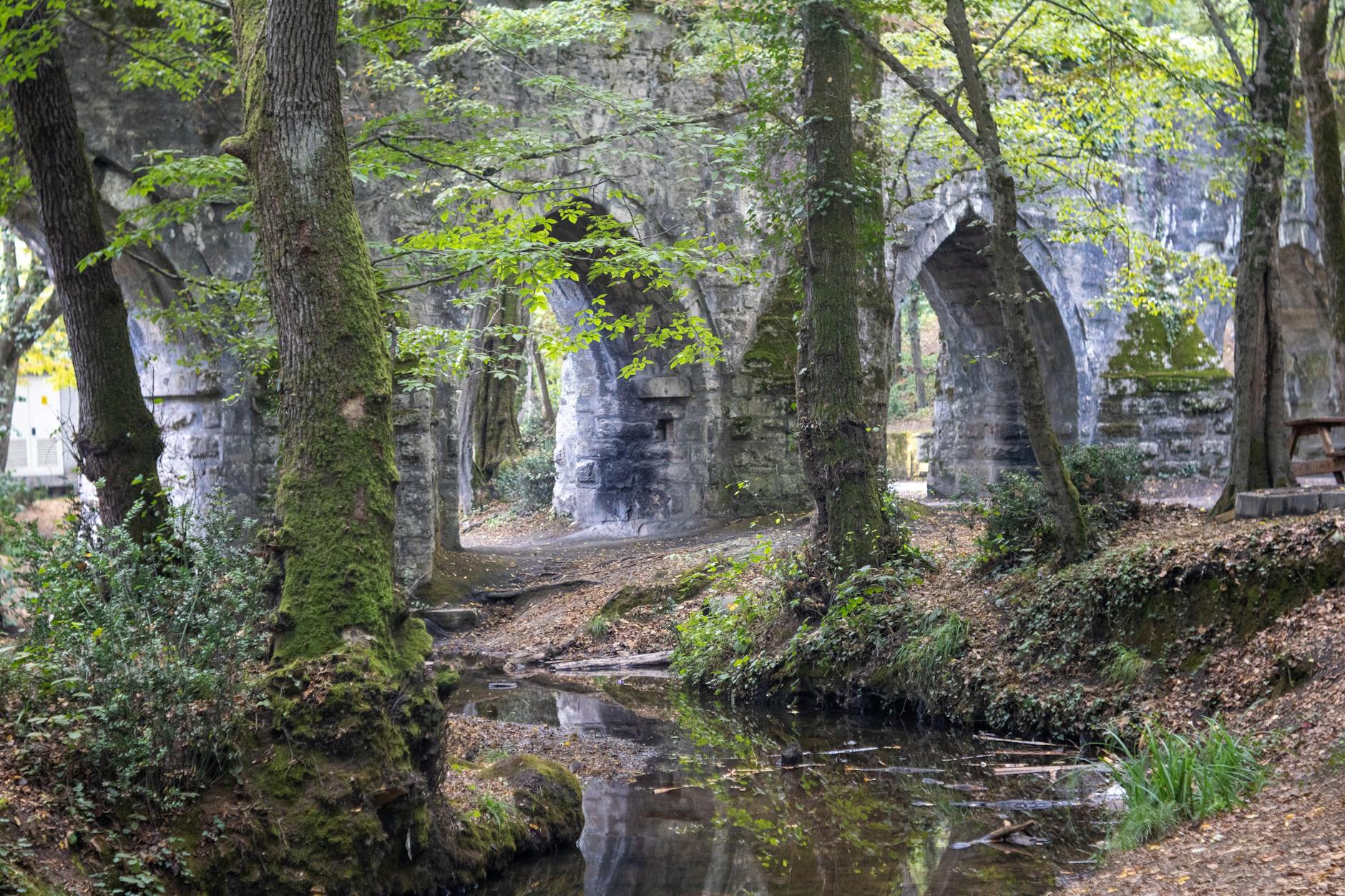 Aqueduc ottoman en pierre traversant un ruisseau sauvage au cœur de la forêt.